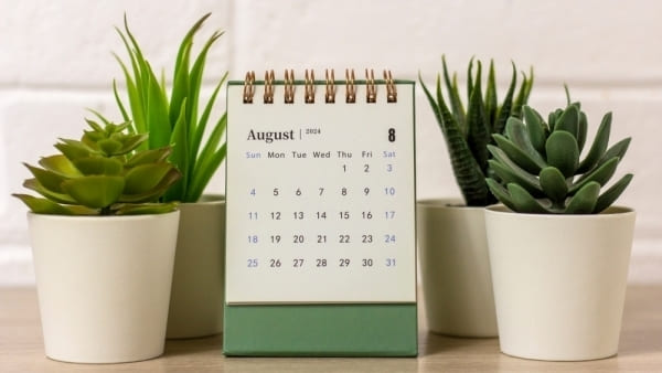 Расписание занятий